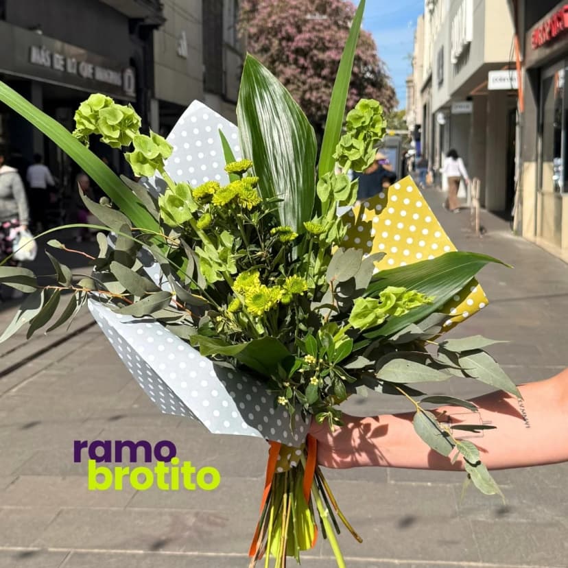 Ramo Brotito