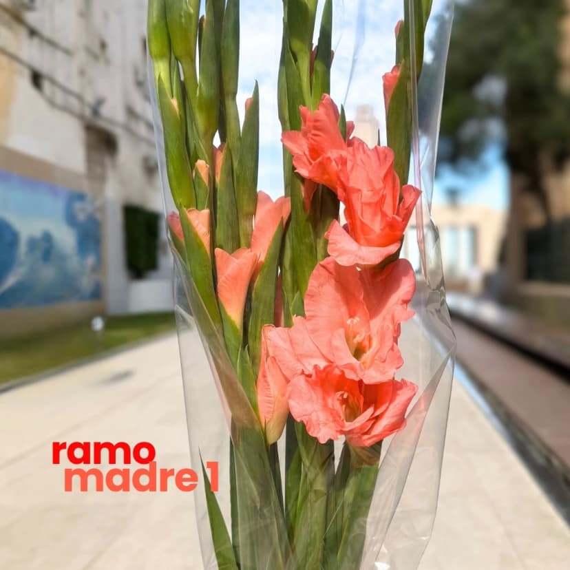 Ramo Madre